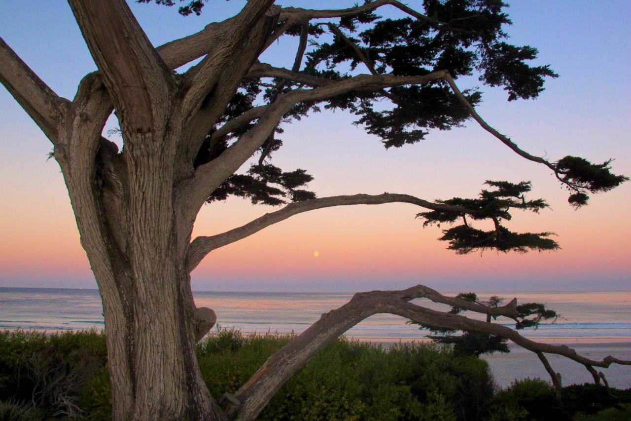 Sea View Inn - Carmel Екстериор снимка