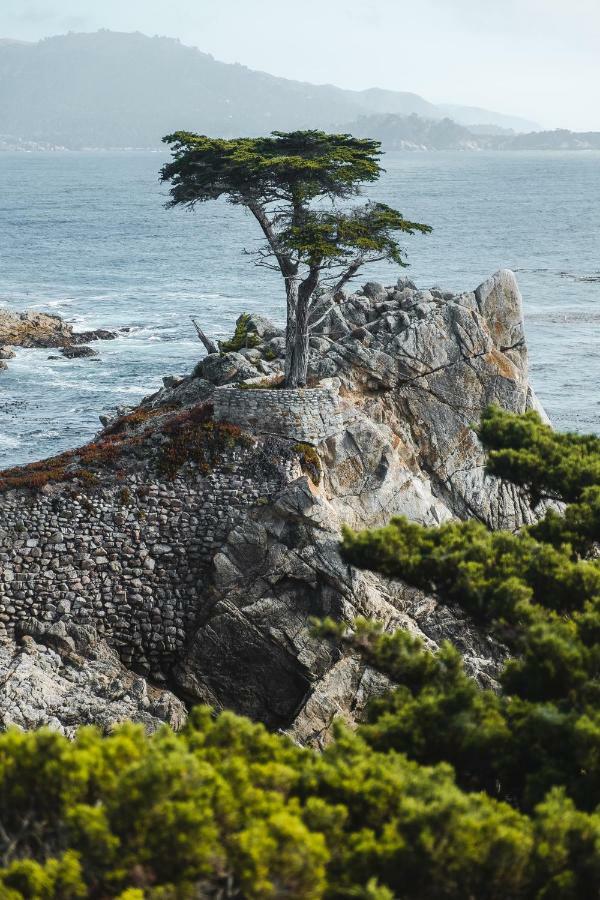 Sea View Inn - Carmel Екстериор снимка